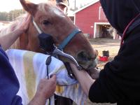 <img200*0:stuff/DSCN0512.JPG>