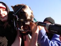 <img200*0:stuff/DSCN0519.JPG>