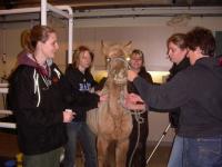 <img200*0:stuff/DSCN0529.JPG>