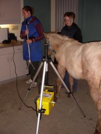 <img200*0:stuff/DSCN0531.JPG>