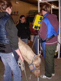 <img200*0:stuff/DSCN0534.JPG>