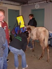 <img200*0:stuff/DSCN0535.JPG>