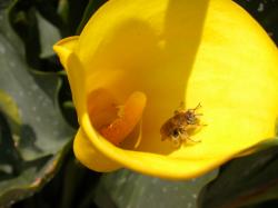 <img250*0:stuff/DSCN4583.JPG>