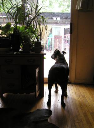 <img300*0:stuff/Daddy%20Is%20Expected%20Home%20Soon%2ejpg>