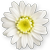 <img:stuff/DaisyBullet1.png>