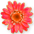 <img:stuff/DaisyBullet10.png>