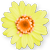 <img:stuff/DaisyBullet2.png>
