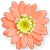 <img:stuff/DaisyBullet3.png>