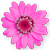 <img:stuff/DaisyBullet5.png>