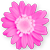 <img:stuff/DaisyBullet6.png>