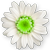<img:stuff/DaisyBullet7.png>