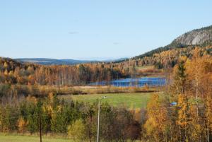 <img300*0:stuff/Dalen_och_Tjarn.JPG>