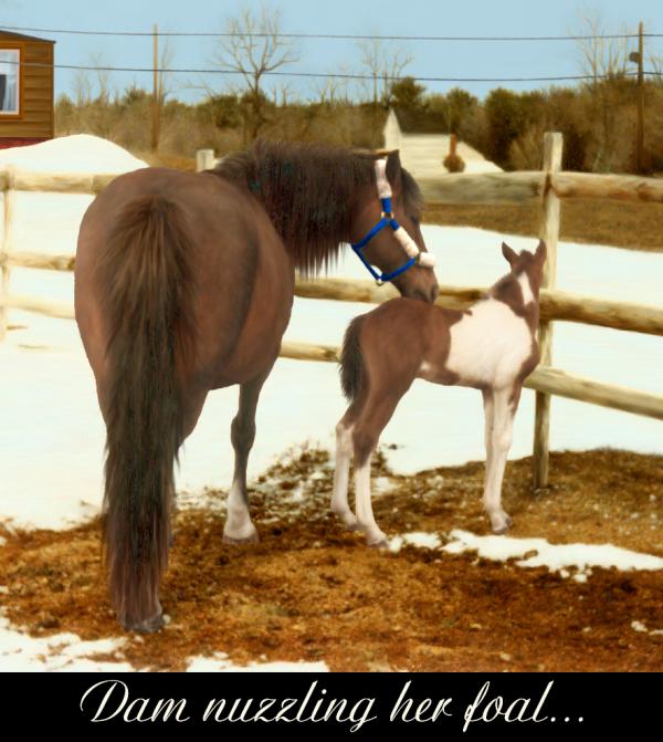 <img600*0:stuff/DamN1WKoldFoal_test3.bmp.jpg>