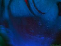 <img200*0:stuff/Damp%20Cavern.jpg>