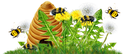 <img:stuff/Dandelions_bees_hiveRev_SM.png>