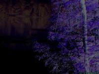 <img200*0:stuff/Dark%20Cove.jpg>