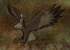 <img100*0:http://elftown.heddate.com/stuff/Day12-Bird2.jpg>