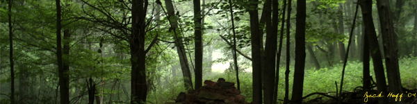 <img:stuff/Deiscorides_vistas_country_0_05.jpg>