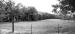 <img75*0:stuff/Delapadated-panB%26W.jpg>