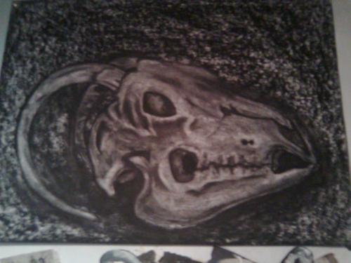 <img500*375:stuff/Desert_Skull_Charcoal.jpg>