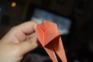 <img300*200:stuff/Dinosaur_step_five%3a.jpg>