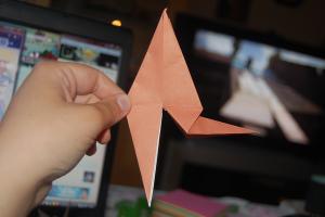 <img300*200:stuff/Dinosaur_step_four.jpg>