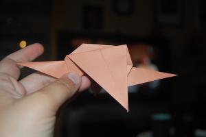 <img300*200:stuff/Dinosaur_step_six%3a.jpg>
