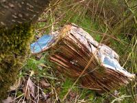 <img200*0:stuff/Ditched_Newspapers_II.jpg>