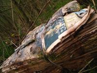 <img200*0:stuff/Ditched_Newspapers_III.jpg>