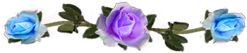 <img:stuff/DividerRosesLav-LtBlue.png.jpg>