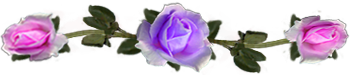 <img:stuff/DividerRosesLav-Pink.png.jpg>