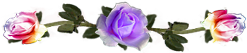 <img:stuff/DividerRosesLav-Var.png.jpg>
