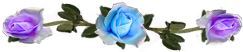 <img:stuff/DividerRosesLtBlue-Lav.png.jpg>