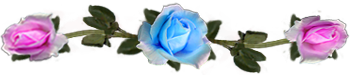 <img:stuff/DividerRosesLtBlue-Pink.png.jpg>