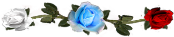 <img:stuff/DividerRosesLtBlue-Red-Wh.png.jpg>