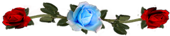 <img:stuff/DividerRosesLtBlue-Red.png.jpg>