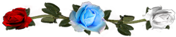<img:stuff/DividerRosesLtBlue-Wh-Red.png.jpg>