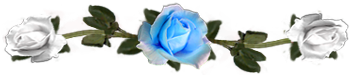 <img:stuff/DividerRosesLtBlue-White.png.jpg>