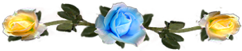 <img:stuff/DividerRosesLtBlue-Yel.png.jpg>