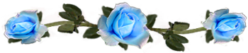 <img:stuff/DividerRosesLtBlue.png.jpg>