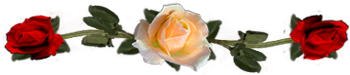 <img:stuff/DividerRosesOrPeach-Red.png.jpg>