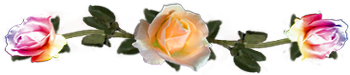 <img:stuff/DividerRosesOrPeach-Var.png.jpg>