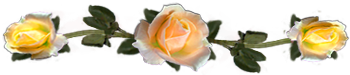 <img:stuff/DividerRosesOrPeach-Yel.png.jpg>