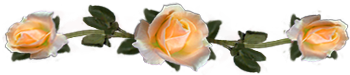 <img:stuff/DividerRosesOrPeach.png.jpg>