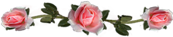 <img:stuff/DividerRosesPeach.png.jpg>