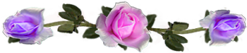 <img:stuff/DividerRosesPink-Lav.png.jpg>
