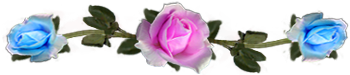 <img:stuff/DividerRosesPink-LtBlue.png.jpg>