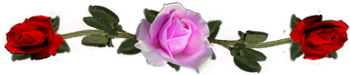 <img:stuff/DividerRosesPink-Red.png.jpg>