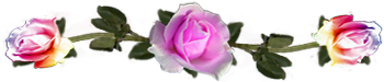 <img:stuff/DividerRosesPink-Var.png.jpg>