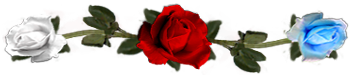 <img:stuff/DividerRosesRed-Bl-Wh.png.jpg>